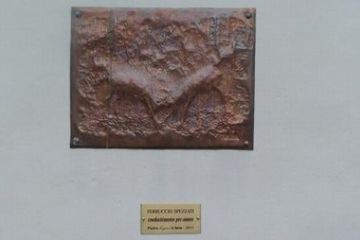 2011_FERRUCCIO_SPEZZATI_combattimento_per_amore